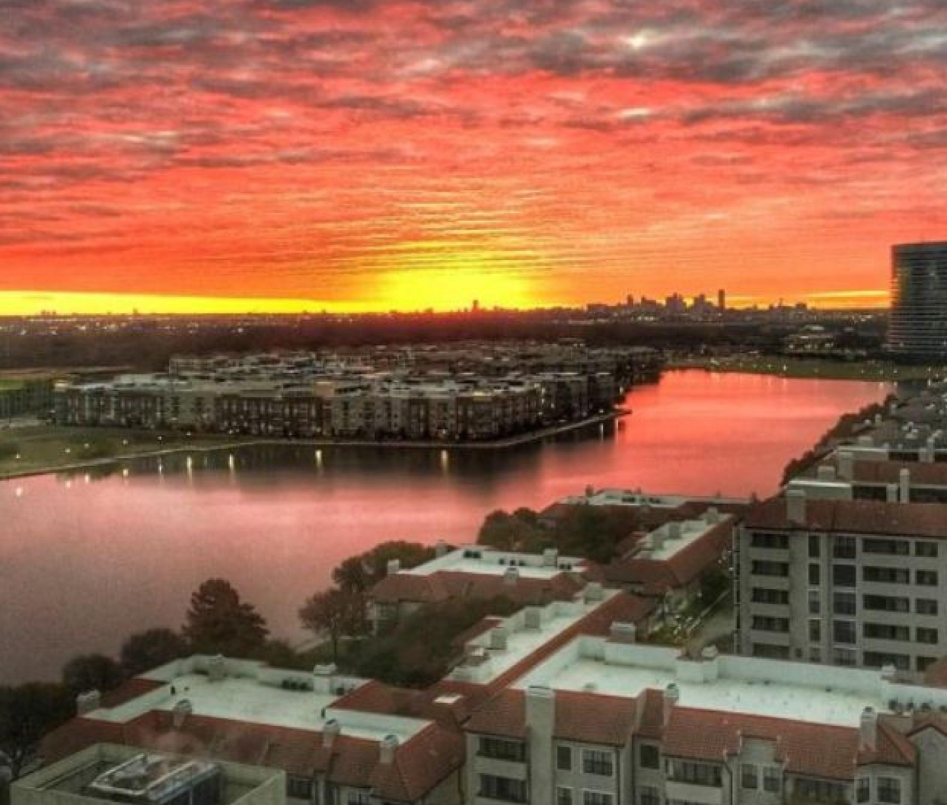 Sonesta Simply Suites Dallas Las Colinas ايرفينغ المظهر الخارجي الصورة