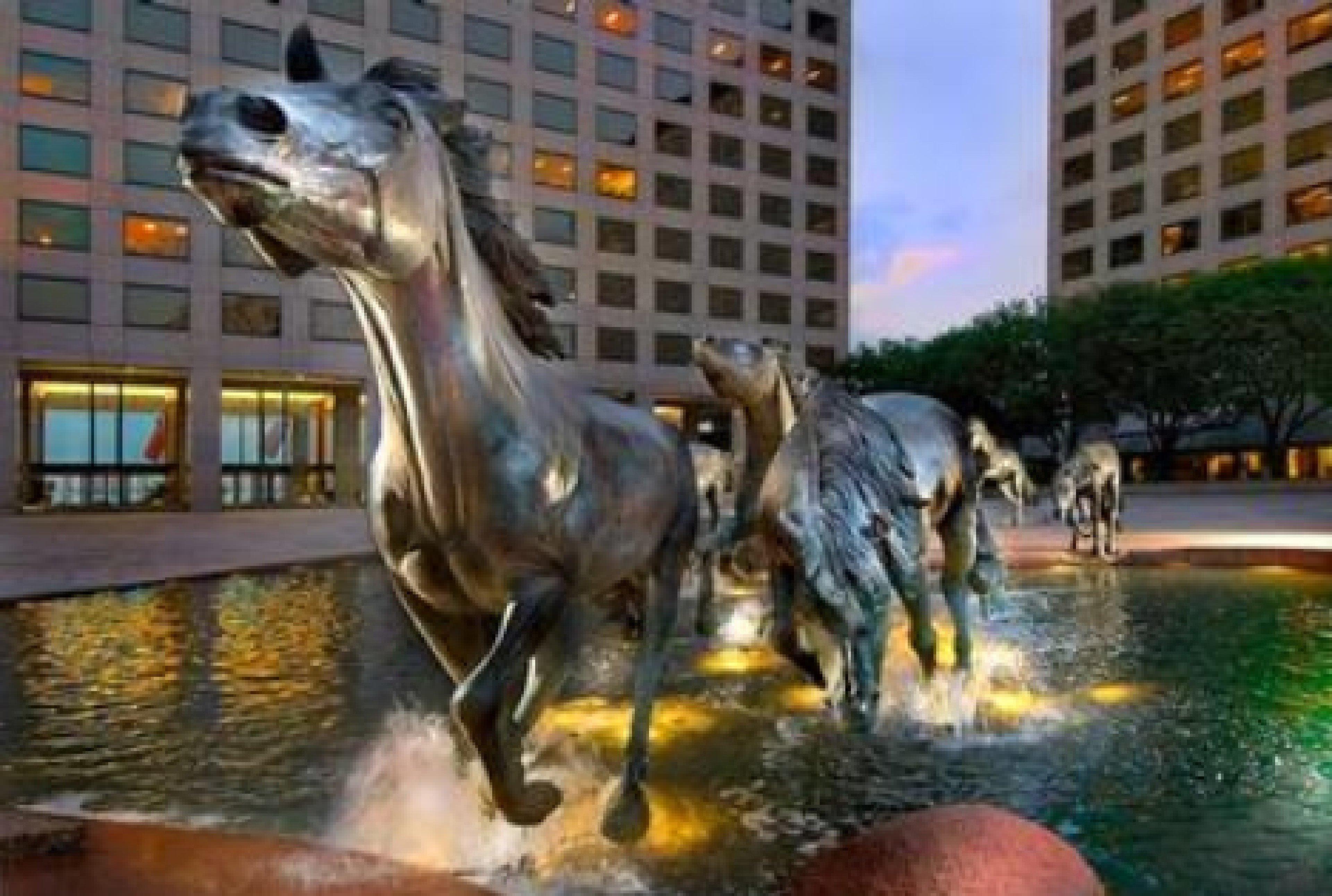 Sonesta Simply Suites Dallas Las Colinas ايرفينغ المظهر الخارجي الصورة